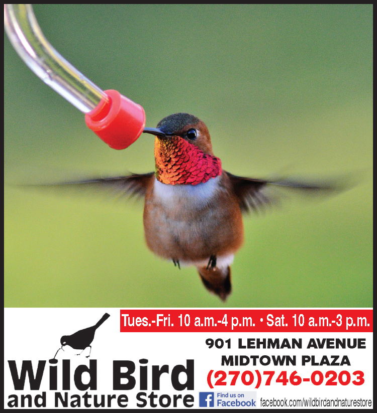 The Wild Bird and Nature Store can help you attract hummingbirds and all types of birds to your backyard.