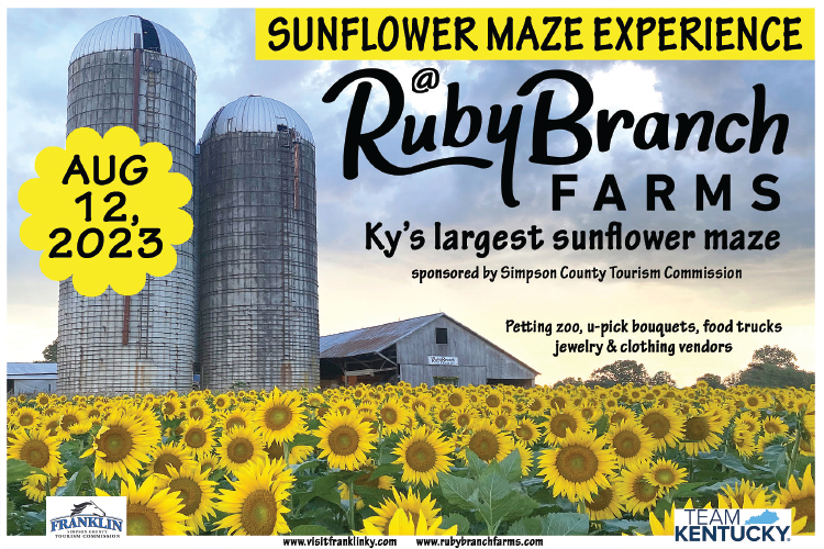 See the Sunflower Maze Experience at Ruby Branch Farms in Franklin Kentucky