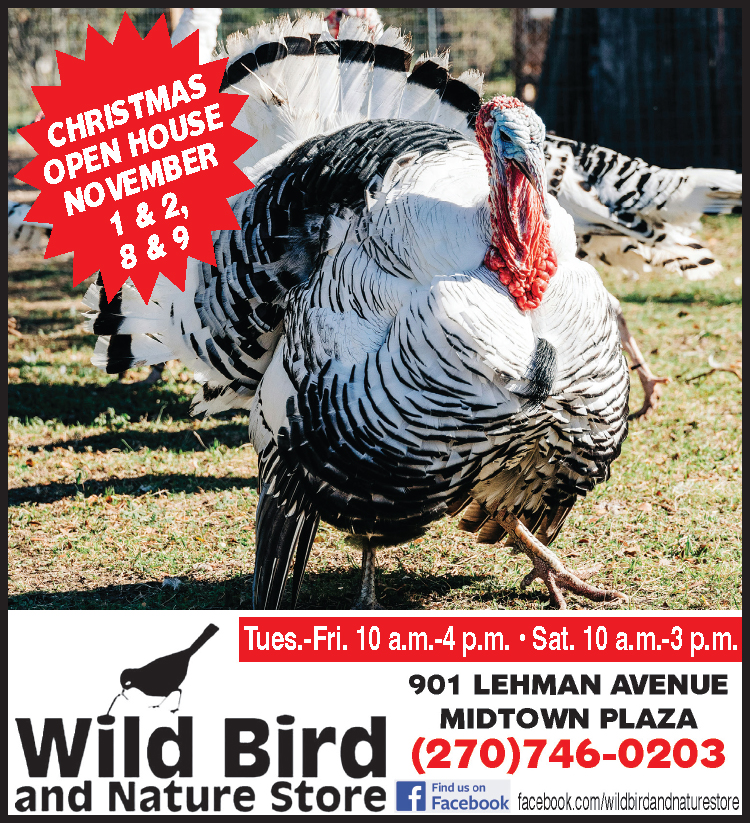 Visit the Wild Bird and Nature Store Christmas open house November 1 & 2.