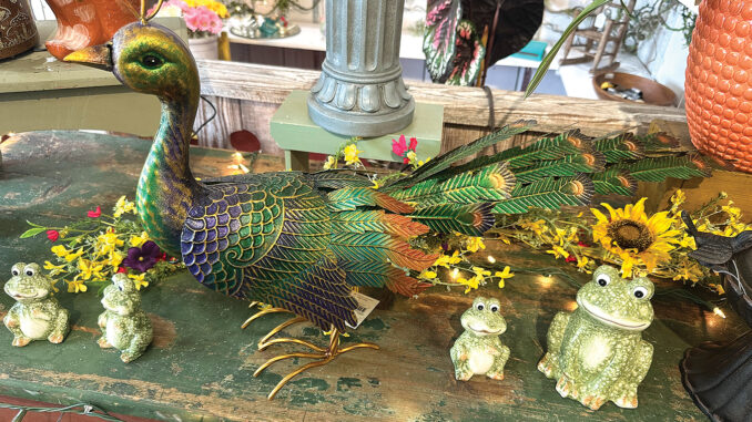 Wild Bird and Nature Store