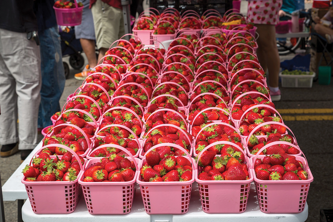 Portland Celebrates 85th Annual Middle Tennessee Strawberry