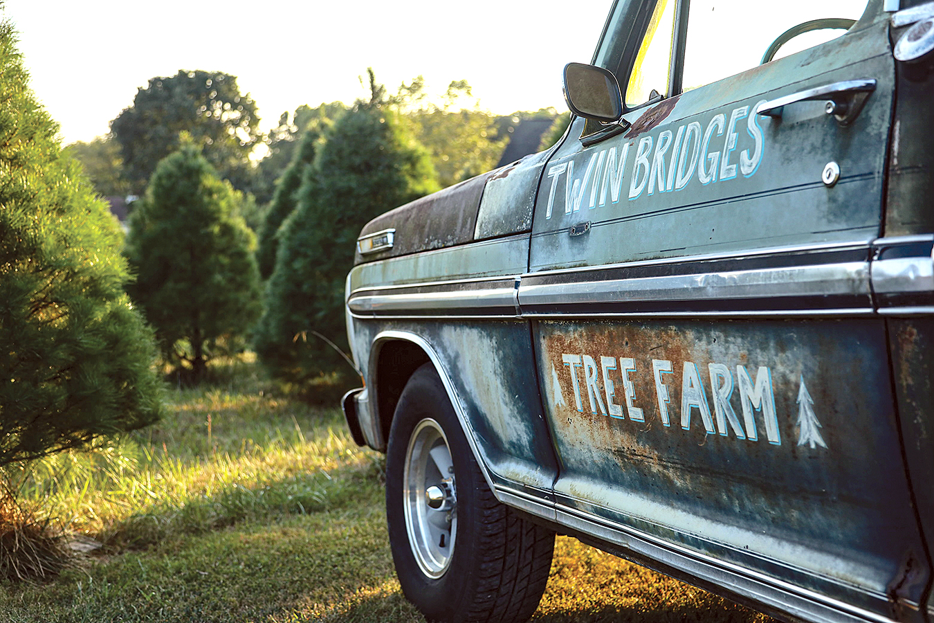 Twiin Bridges Tree Farm - SOKY Happenings