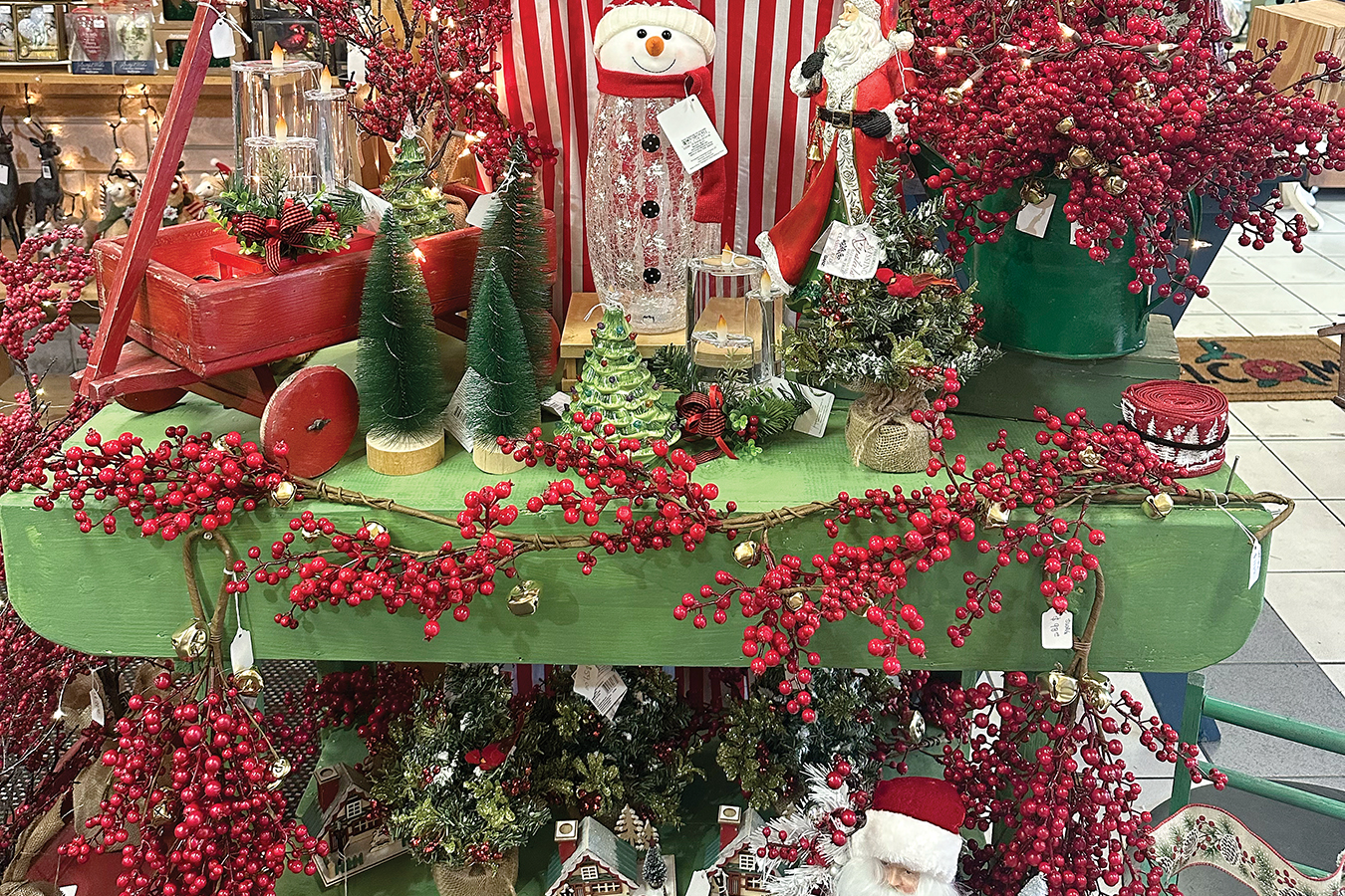 Wild Bird and Nature Store - SOKY Happenings