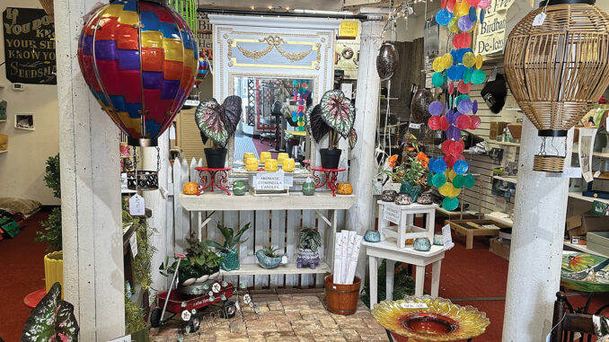 Wild Bird & Nature Store