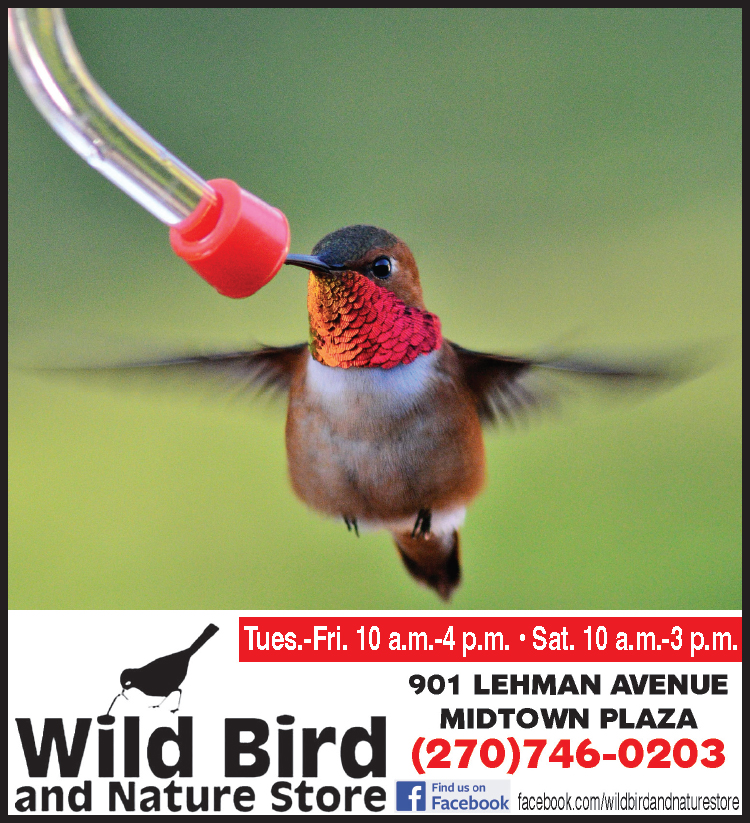 Learn all about hummingbirds at The Wild Bird and Nature Store.