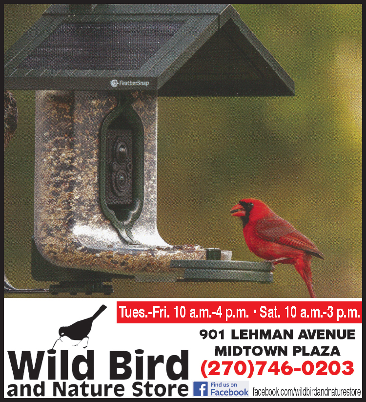 See the amazing FeatherSnap Bird Feeder at the Wild Bird and Nature Store.