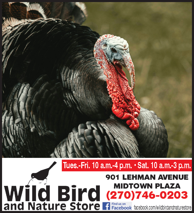 Christmas gifts at the Wild Bird and Nature Store.