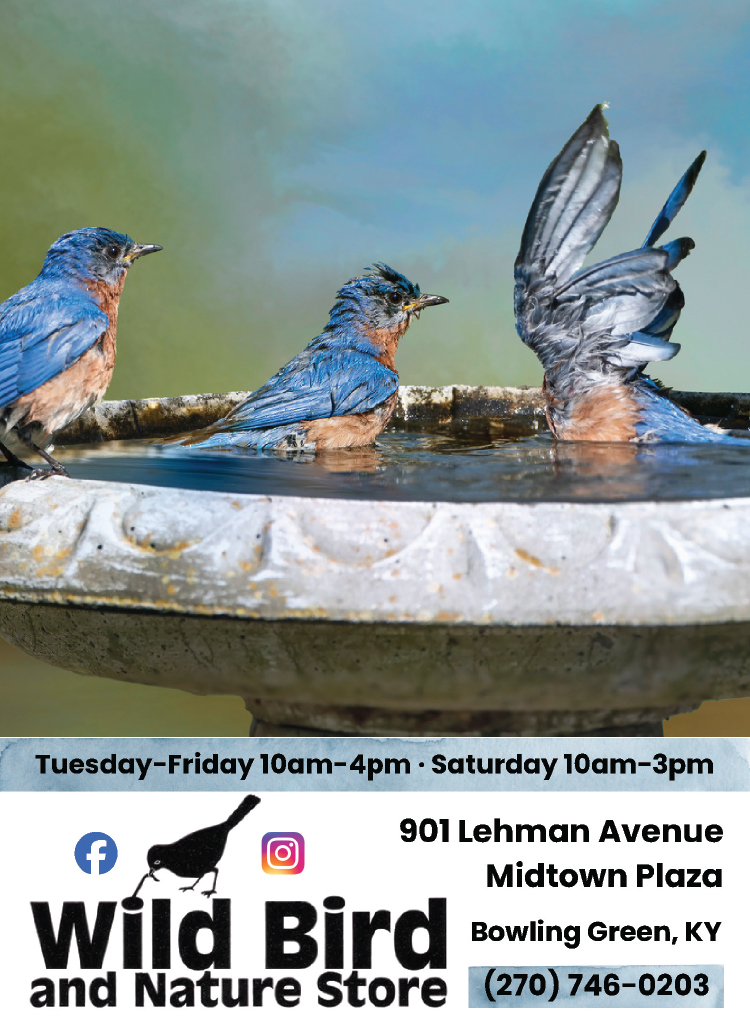 Visit the Wild Bird and Nature Store for all your backyard bird feeding, watering and attraction needs.