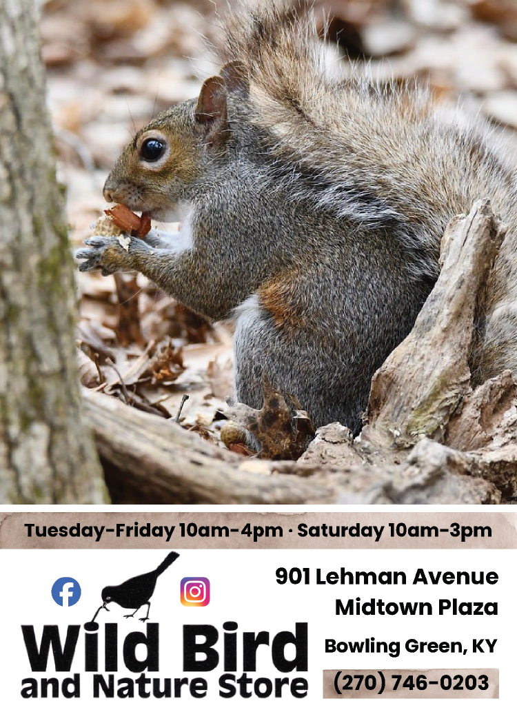 Get your squirrel feeder at the Wild Bird and Nature Store.