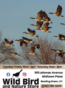 Get all your backyard bird needs from The Wild Bird and Nature Store.